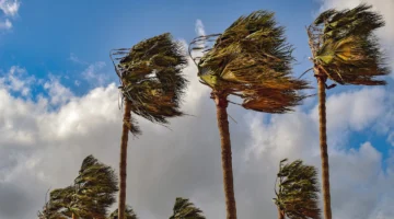 أجواء باردة ورياح قوية تسيطر على طقس الثلاثاء في مناطق متفرقة بالمملكة